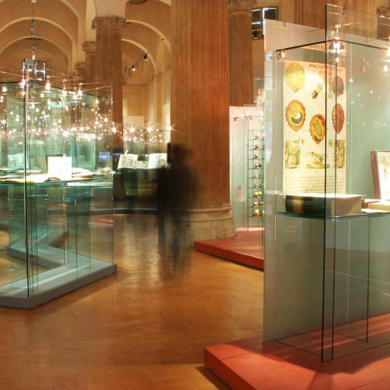 Il tesoro della statale