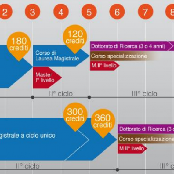 sistema universitario