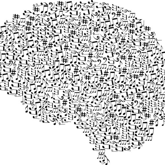 Cervello - Immagine tratta da Pixabay